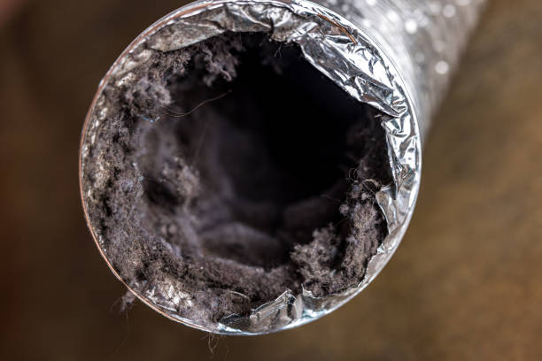 Best Affordable Air Duct Cleaning  in Mulberry, FL