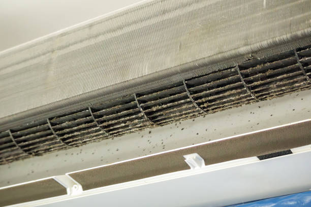 Ductwork Cleaning Services in Mulberry, FL